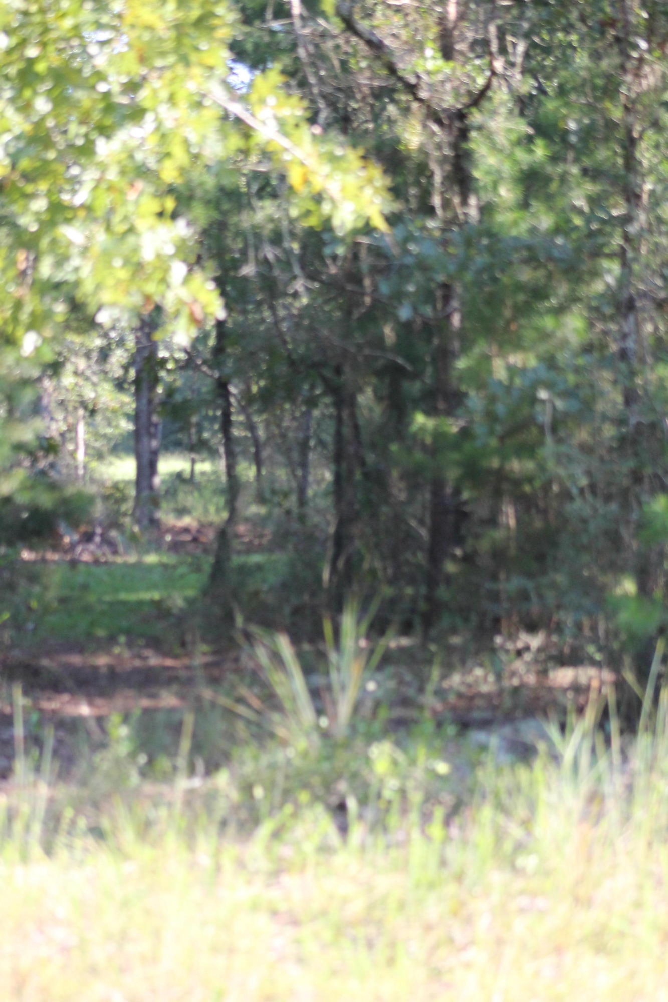 94 Sager Lane Crestview, FL 32539 - Photo 28 of 38