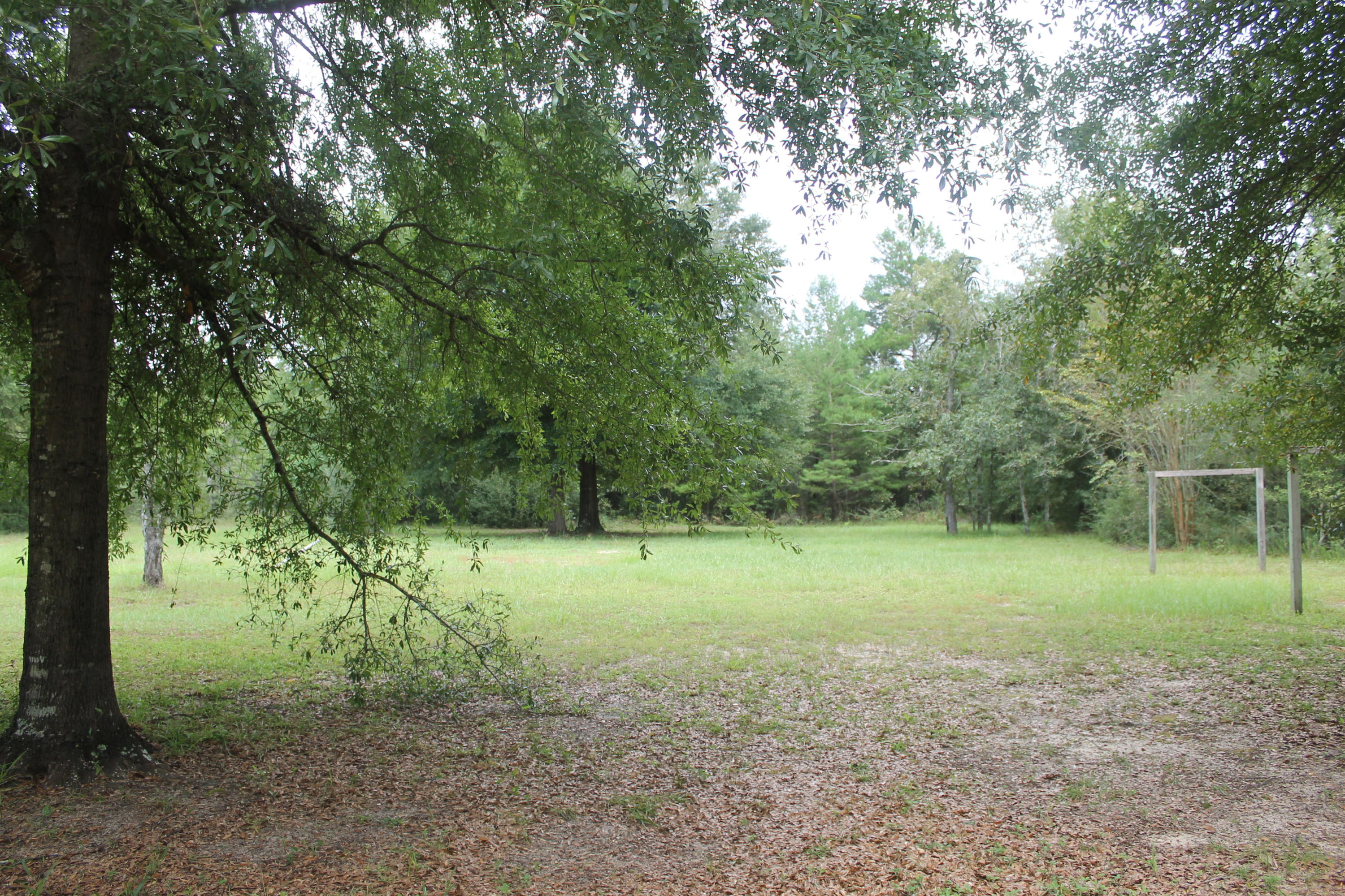 94 Sager Lane Crestview, FL 32539 - Photo 4 of 38 a view of outdoor space with trees all around