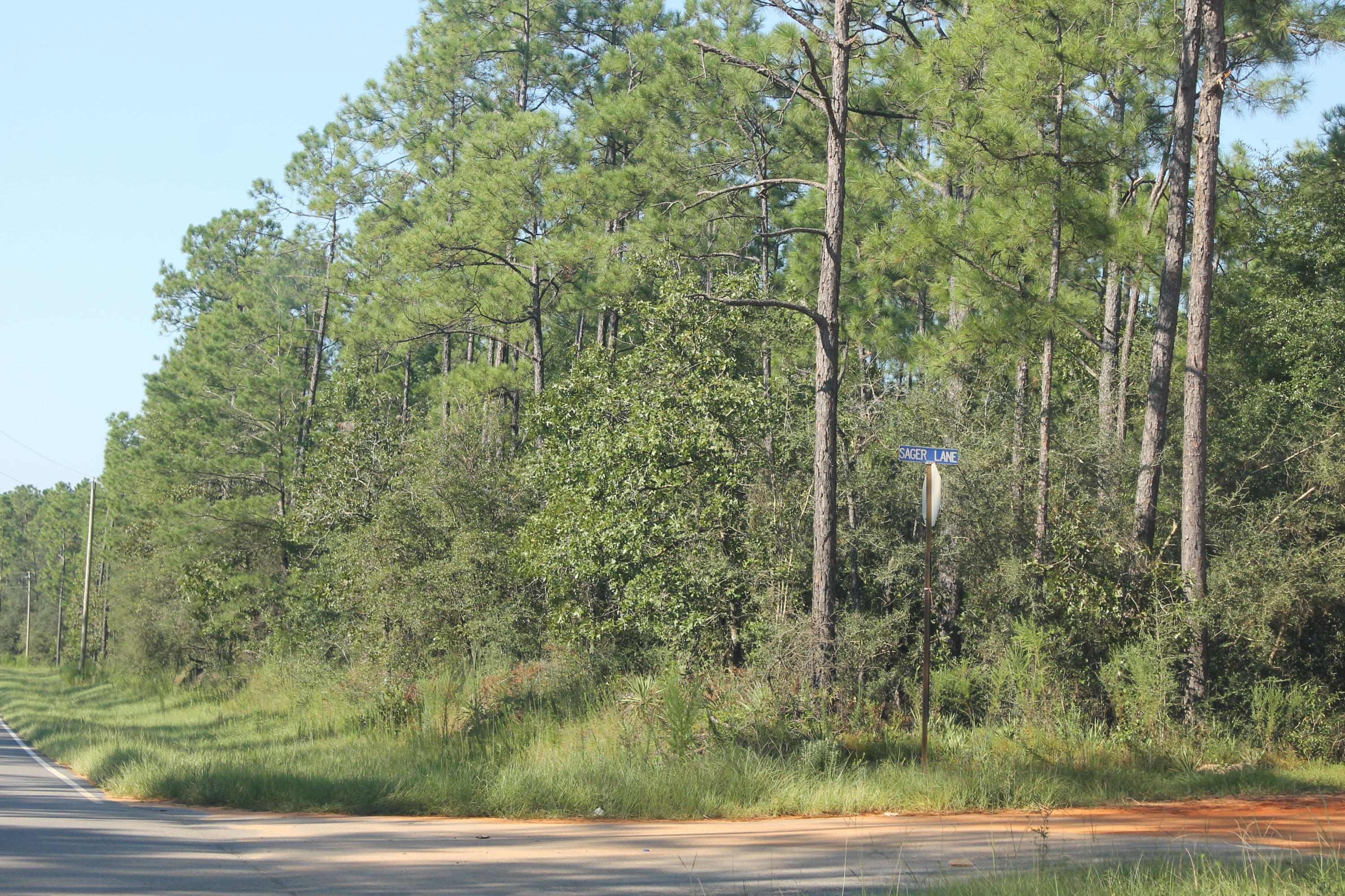 94 Sager Lane Crestview, FL 32539 - Photo 35 of 38 a view of a yard with trees