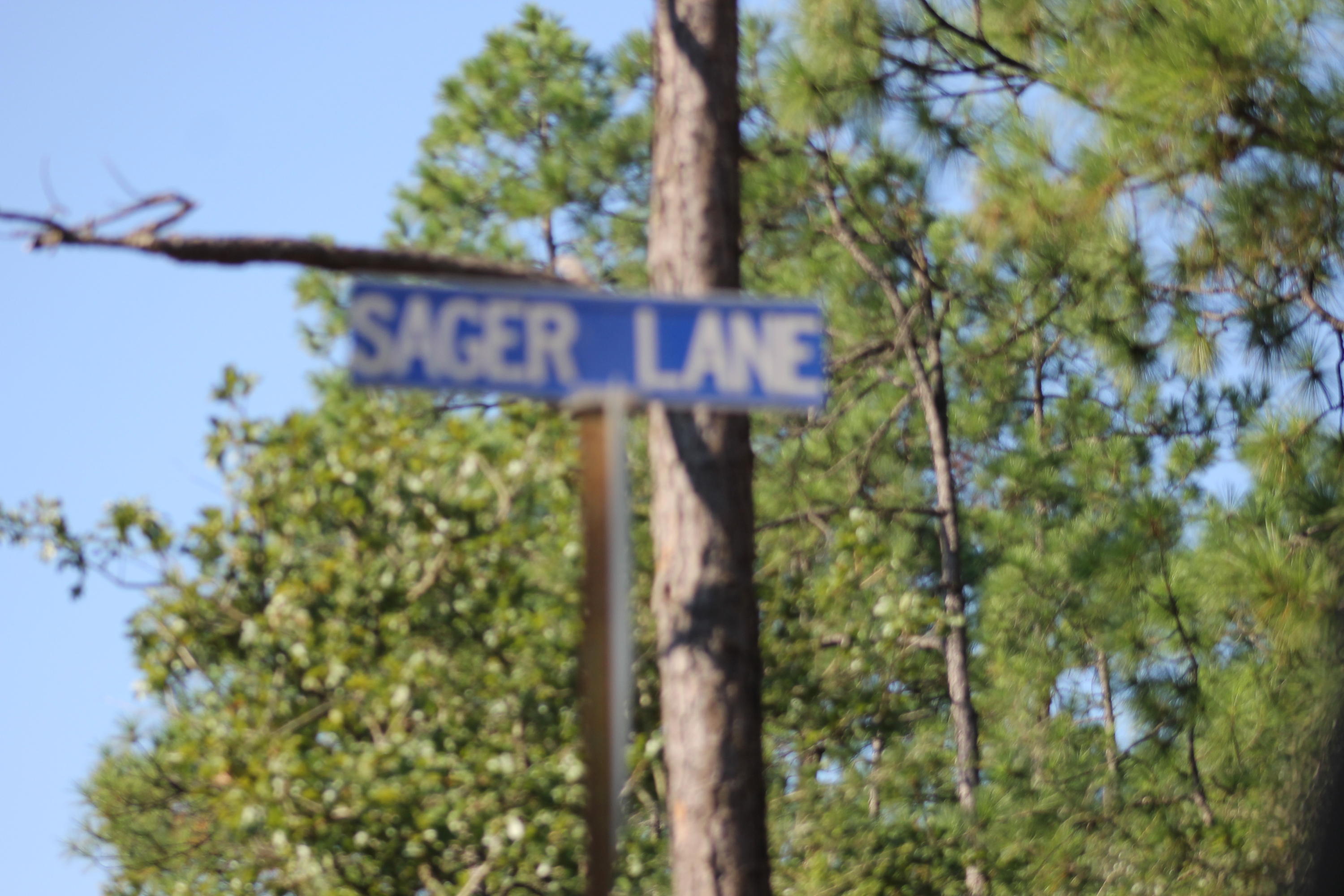 94 Sager Lane Crestview, FL 32539 - Photo 36 of 38 a view of a tree with a yard