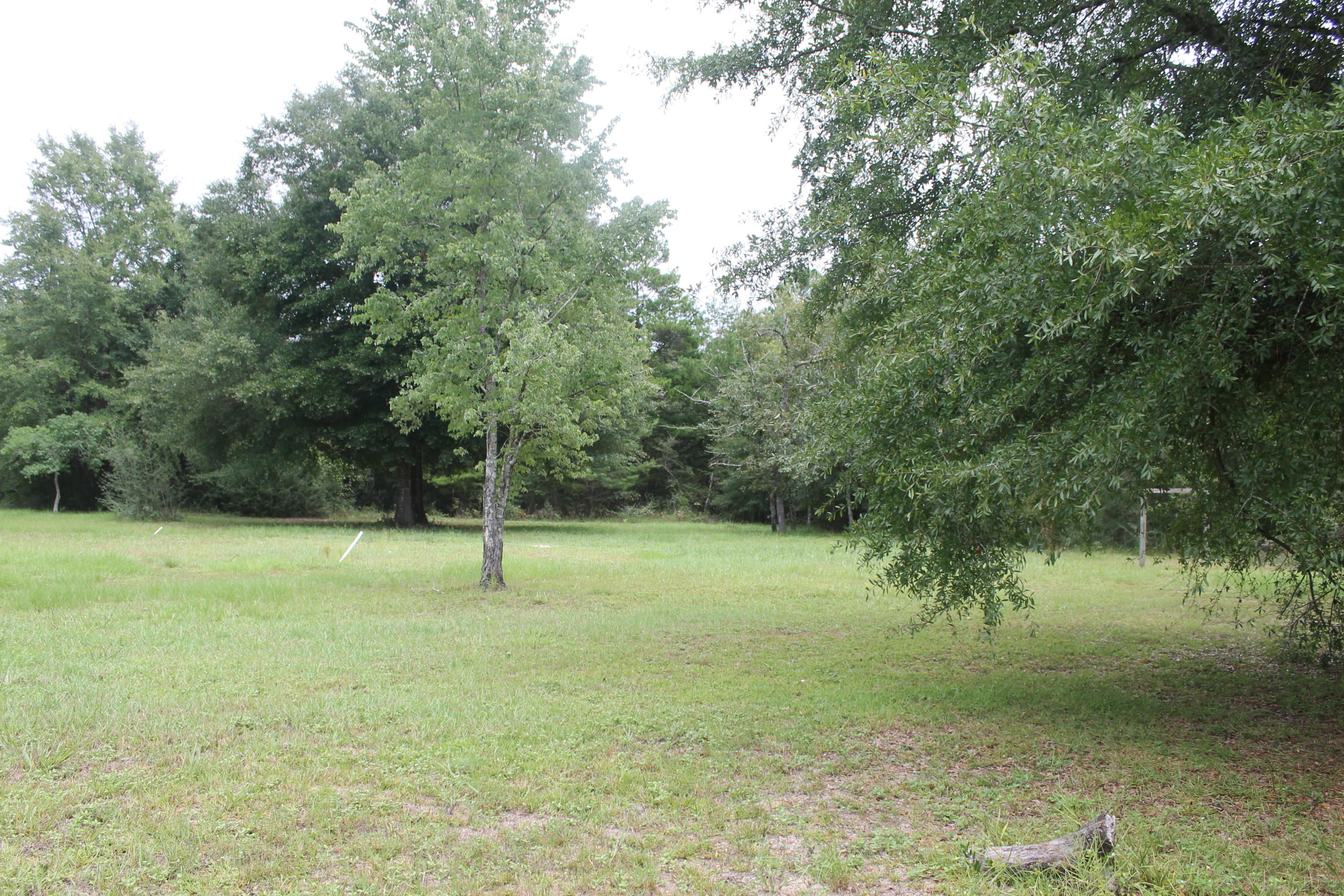 94 Sager Lane Crestview, FL 32539 - Photo 5 of 38 a view of outdoor space with deck and yard