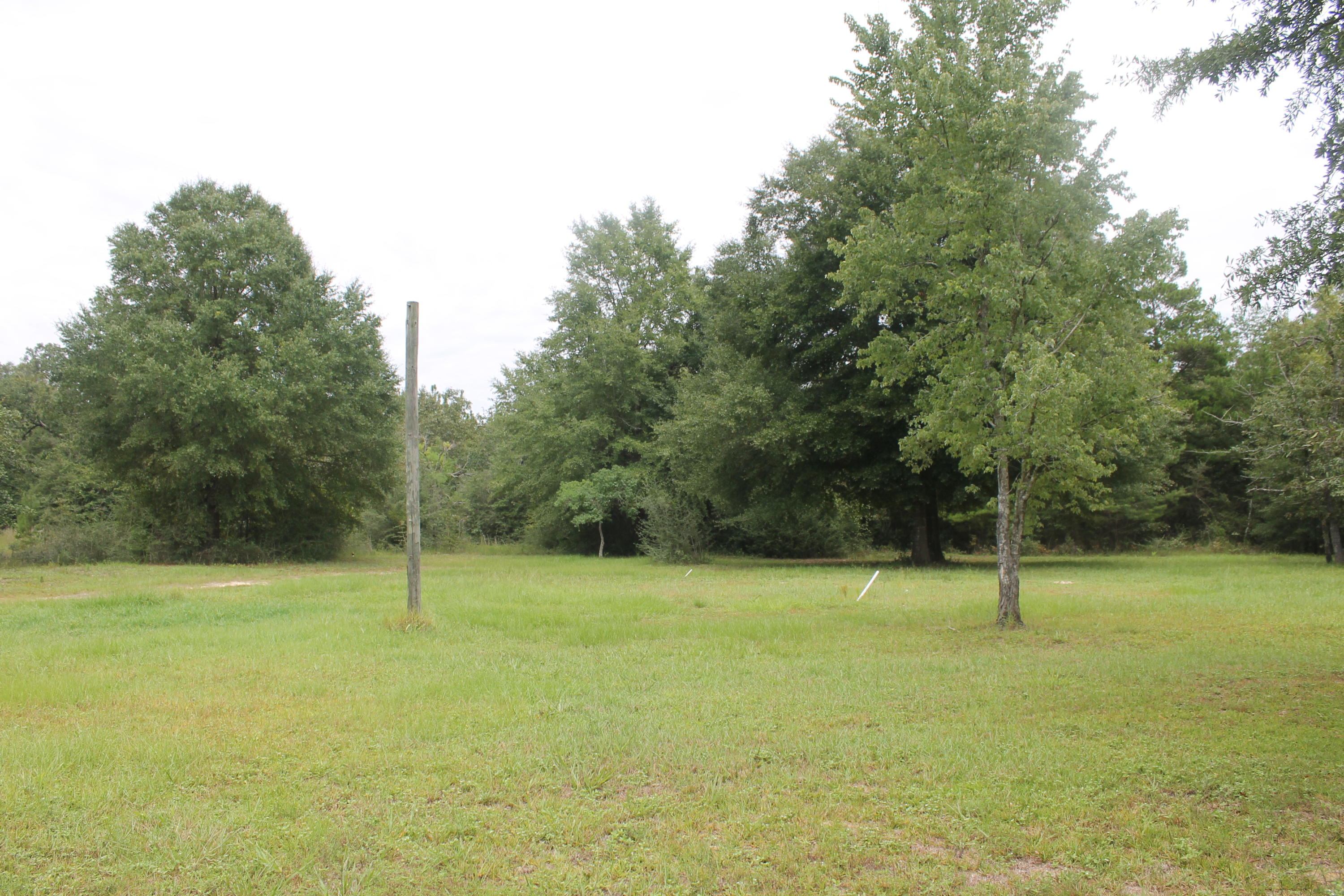 94 Sager Lane Crestview, FL 32539 - Photo 6 of 38 a backyard of a house