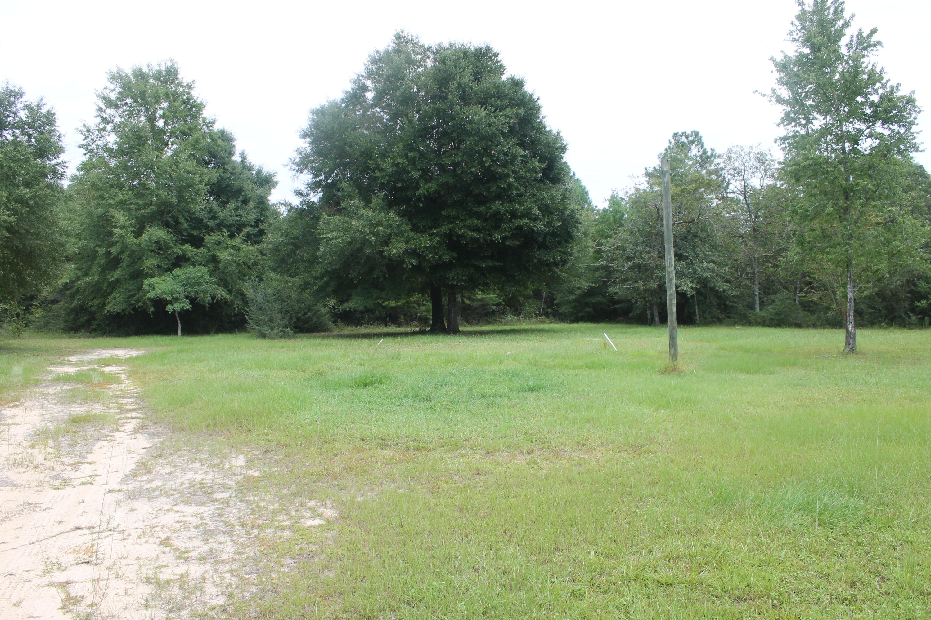 94 Sager Lane Crestview, FL 32539 - Photo 9 of 38 a view of a garden