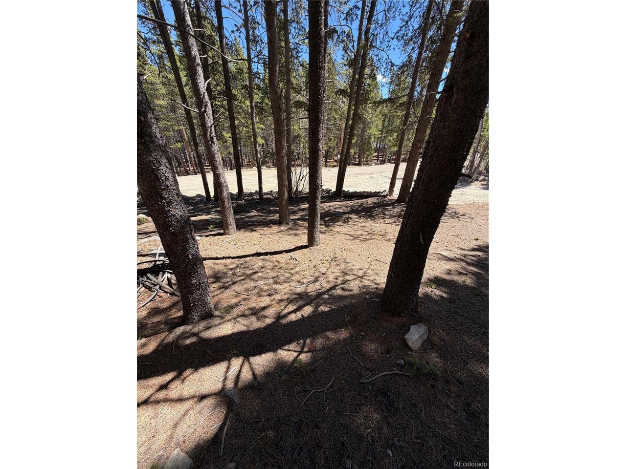 378 Alice Road Idaho Springs, CO 80452 - Photo 10 of 26 a view of stairs and patio