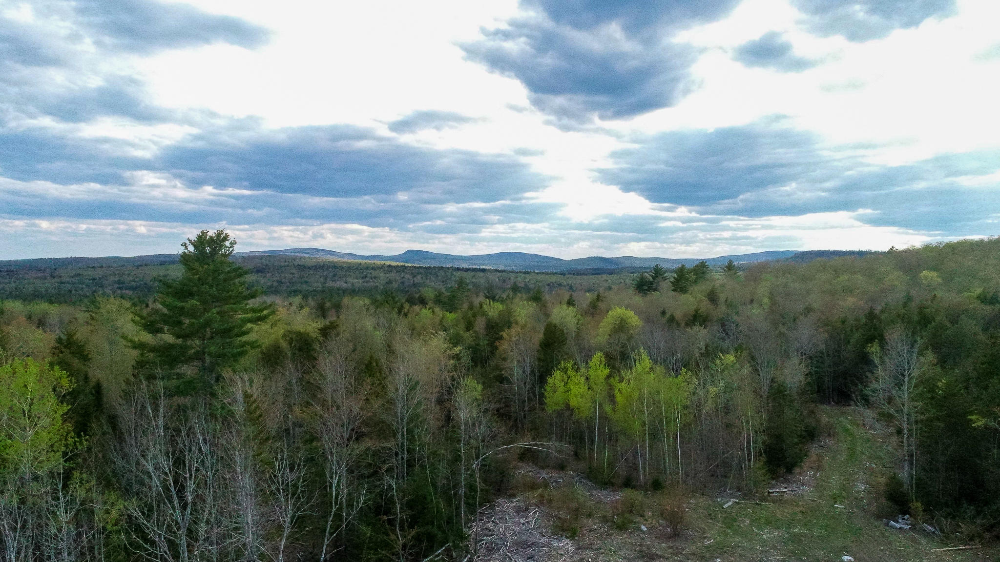 1509 Otis Road Ellsworth, ME 04605 - Photo 2 of 26 DJI_0014-2