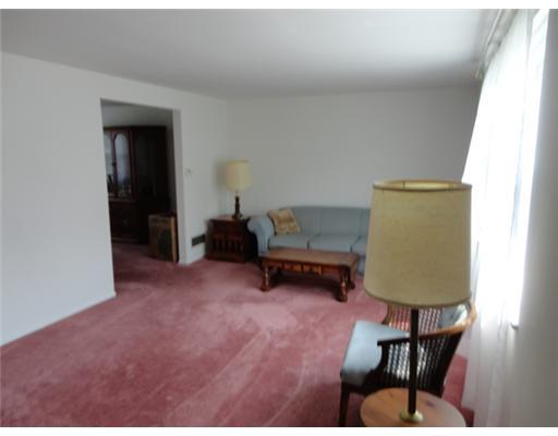 Living Room. Large living room & newer windows throughout  home.
