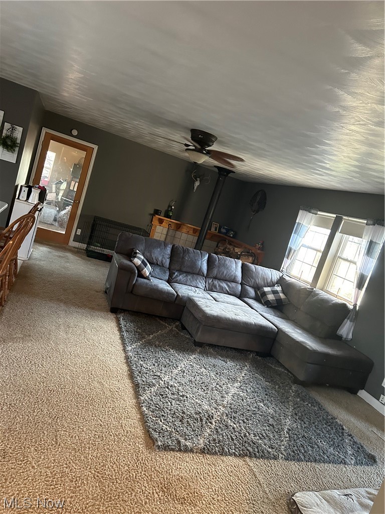 50748 Shenandoah Road Caldwell, OH 43724 - Photo 32 of 43 Living room with carpet and ceiling fan
