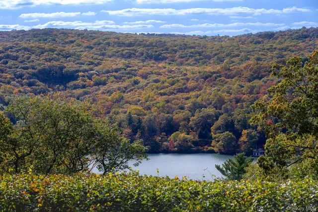 a view of a yard with wooden fence and mountain