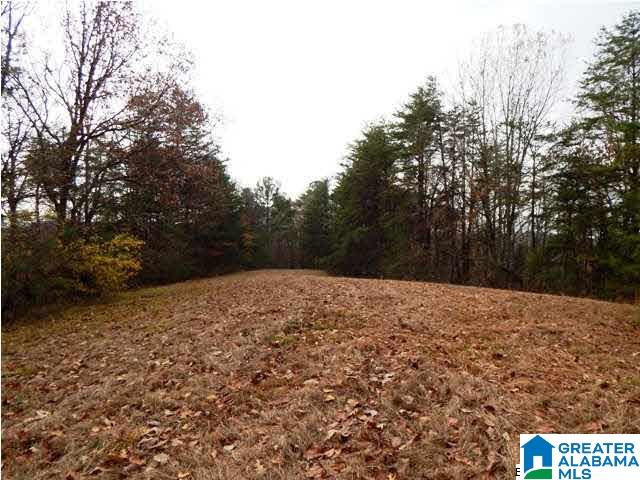 401 Beasley Road Gardendale, AL 35071 - Photo 13 of 15
