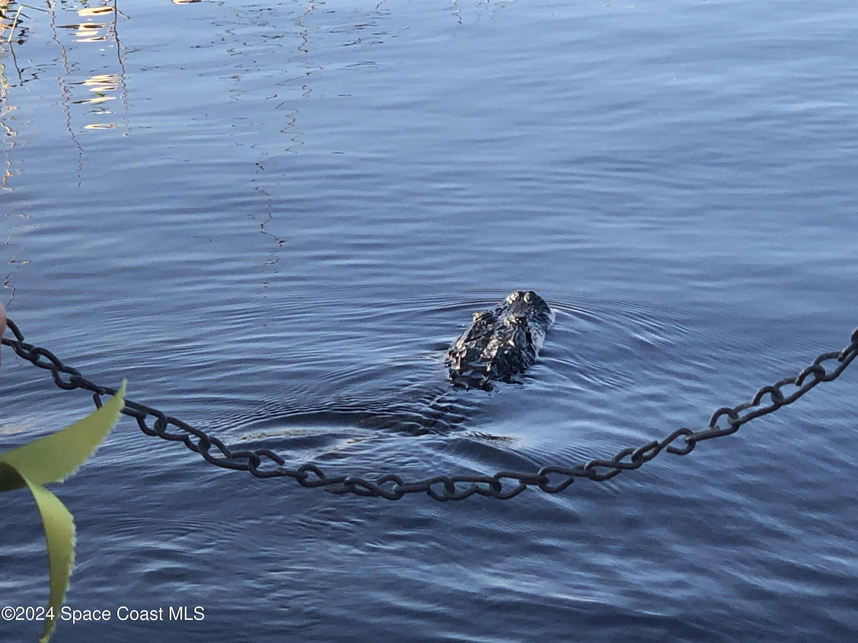 0 North Range Road Cocoa, FL 32926 - Photo 17 of 24 Gator Adventure - Cocoa