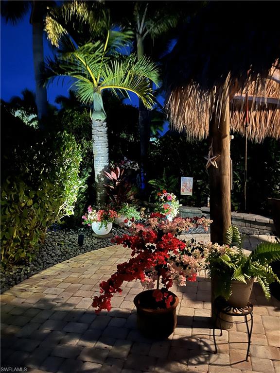 13466 Ladyfish Lane Naples, FL 34114 - Photo 34 of 40 a view of a potted flower in a yard