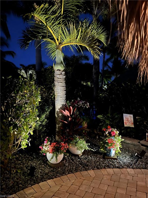 13466 Ladyfish Lane Naples, FL 34114 - Photo 35 of 40 a view of a potted flower in a yard