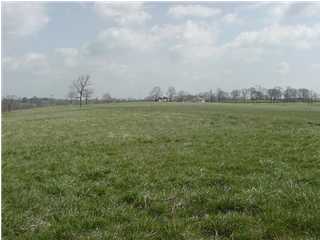 1 Clore Jackson Road Eminence, KY 40019 - Photo 1 of 1 Primary Photo
