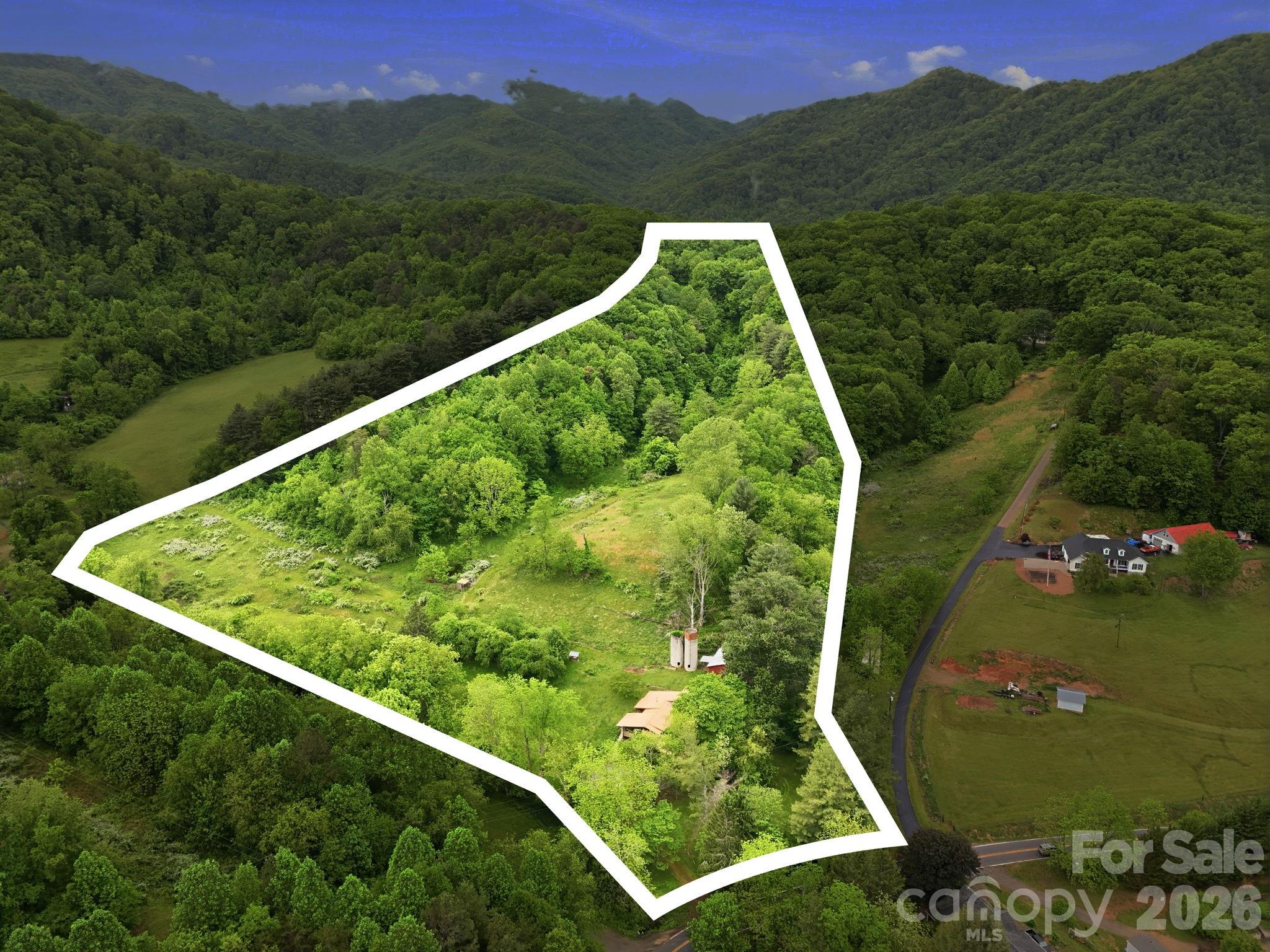 250 Potato Branch Road Leicester, NC 28748 - Photo 5 of 48