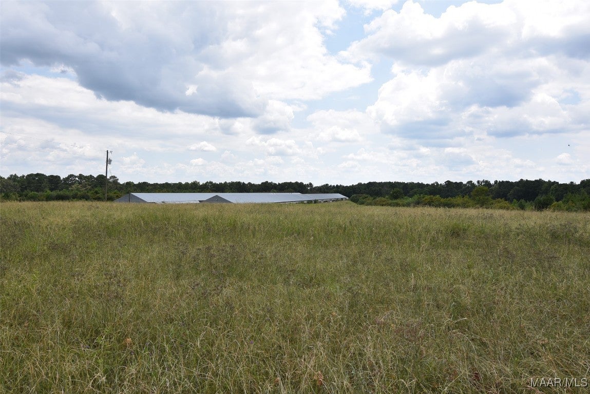 27352 Fleeta Road Opp, AL 36467 - Photo 8 of 57 Gallery Image 8