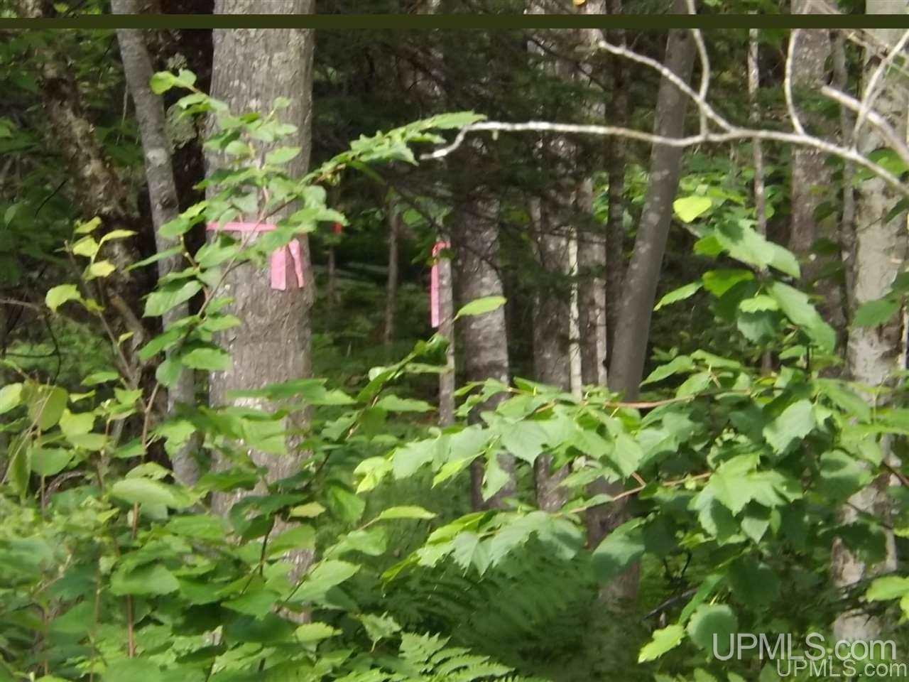 Tbd Ford Farm Road Skanee, MI 49962 - Photo 24 of 27