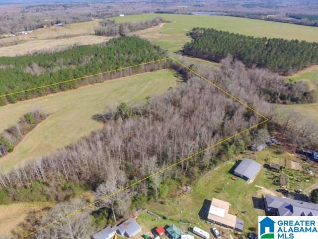 7550 County Road 59 Verbena, AL 36091 - Photo 38 of 41