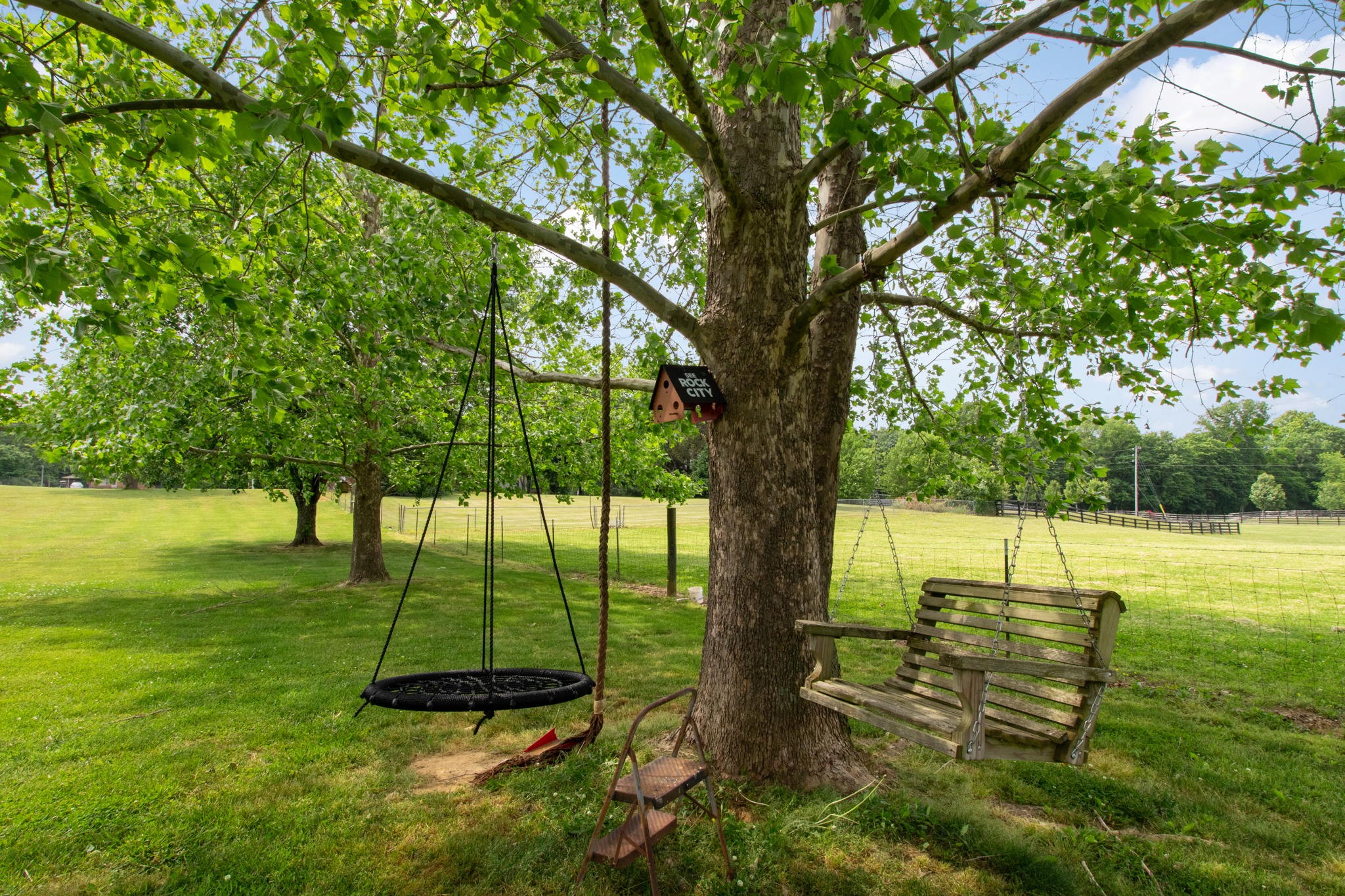 2877 Jack Teasley Road Pleasant View, TN 37146 - Photo 5 of 49 a view of a yard with a tree