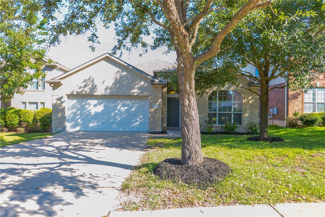 a view of a yard in front of a house with a large tree
