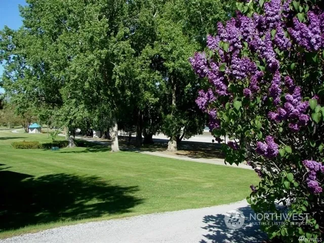 a view of a lake with a mountain in the background