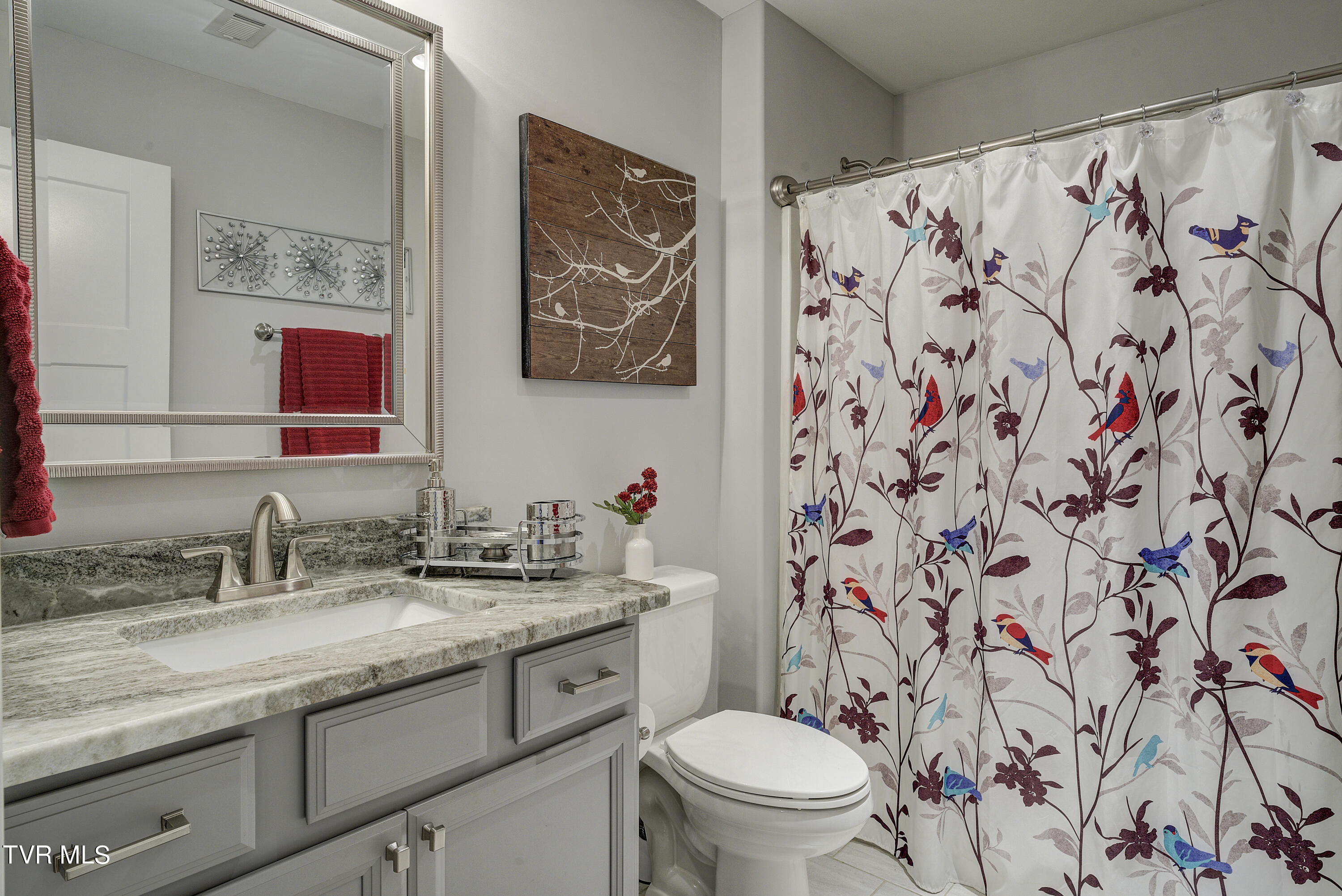 755 Hales Chapel Road Gray, TN 37615 - Photo 23 of 57 Bath2