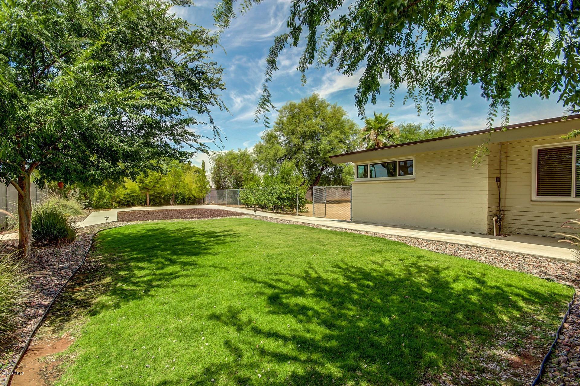 6616 East Cactus Road Scottsdale, AZ 85254 - Photo 6 of 35 0006-Cactus (6)