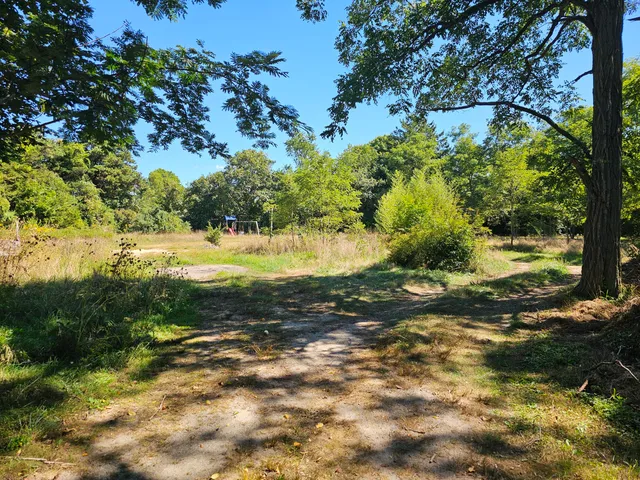 a view of a yard with trees