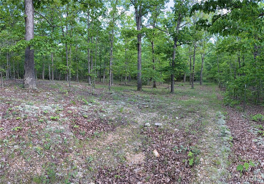 7 County Road Salem, MO 65560 - Photo 5 of 6 Gallery Image 5