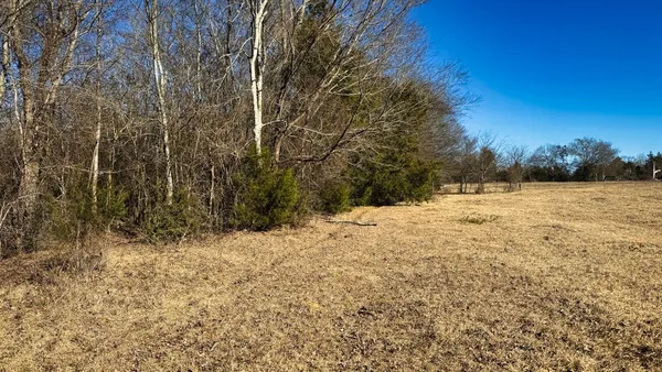 a pathway of a yard