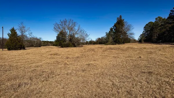 a view of a yard