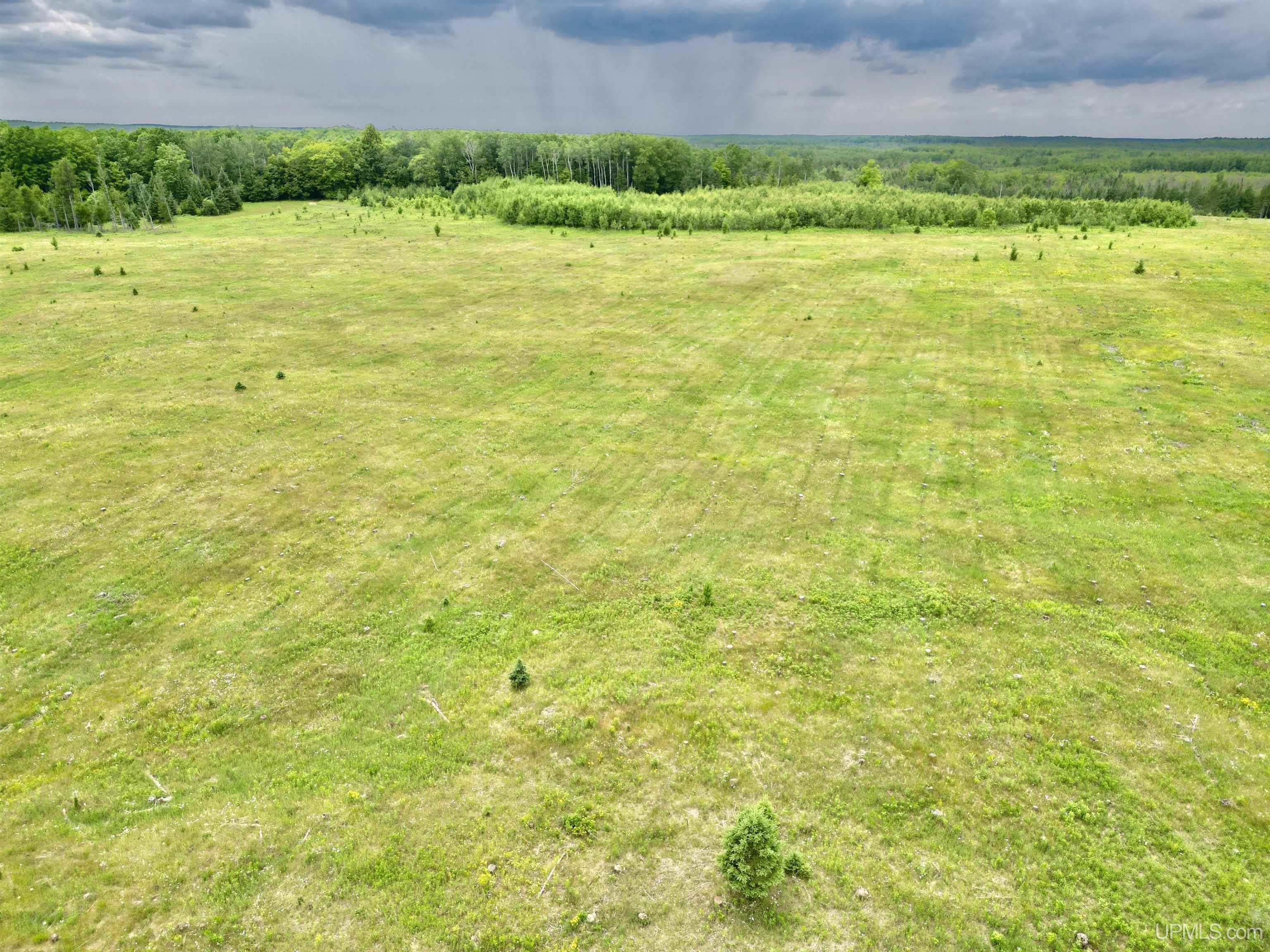 Tbd Tbd Truax Lane Road, Unit 1 Cornell, MI 49818 - Photo 7 of 13