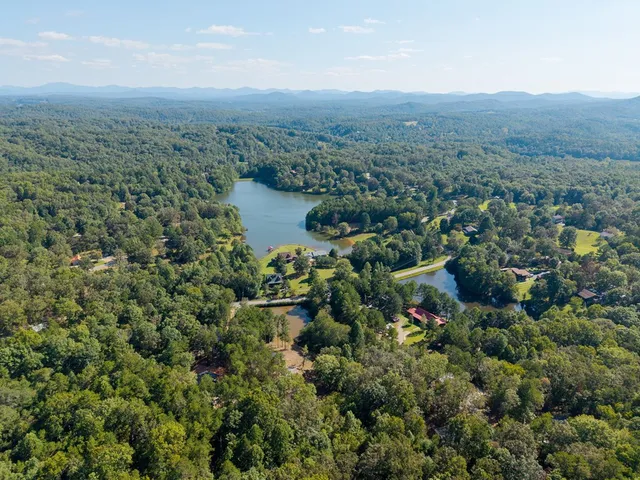 a view of a yard with large trees