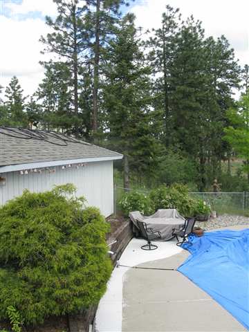 5726 North Thierman Road Spokane, WA 99217 - Photo 7 of 8