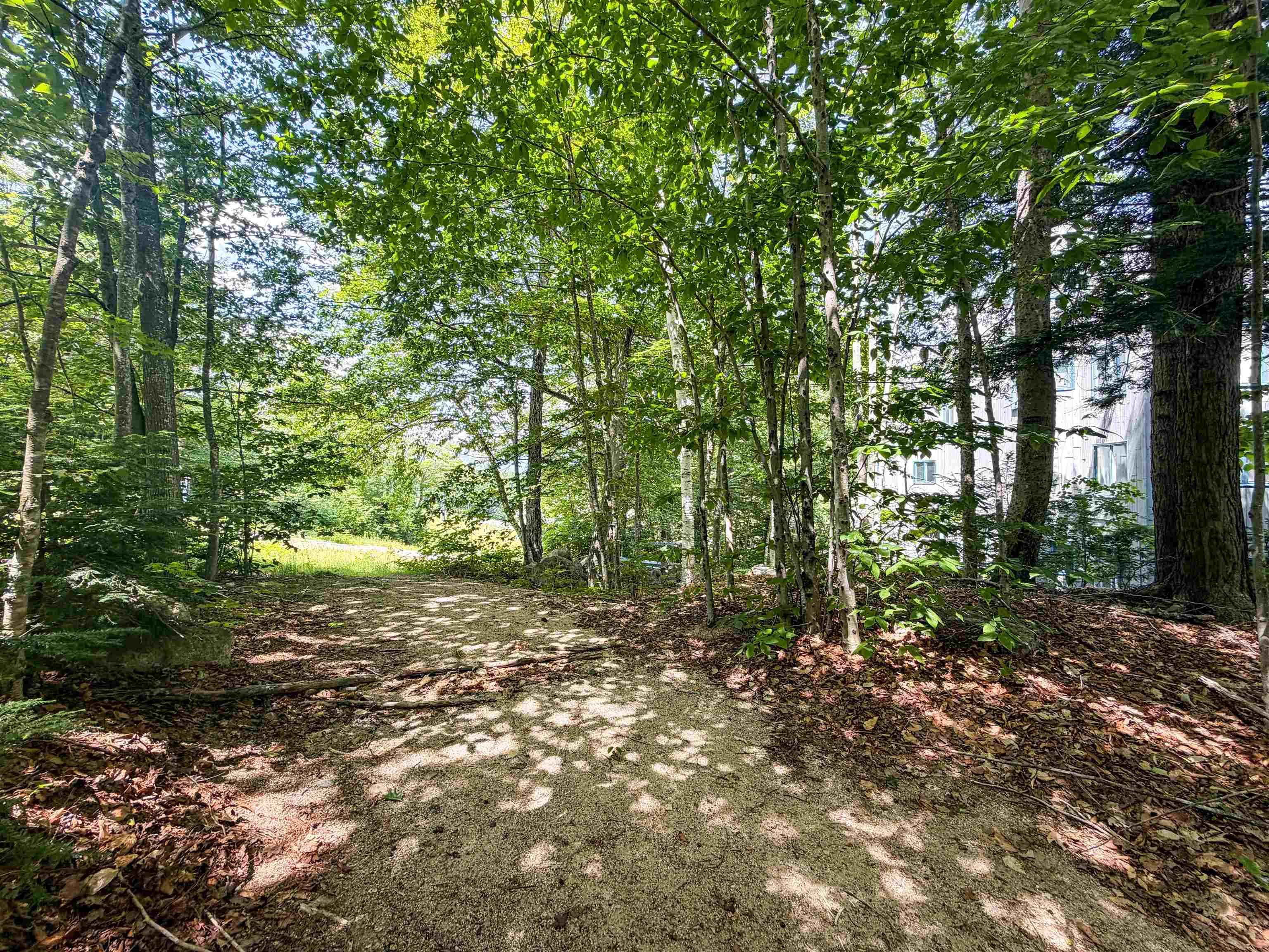 243 Cow Hill Road, Unit 5 Bartlett, NH 03812 - Photo 25 of 25
