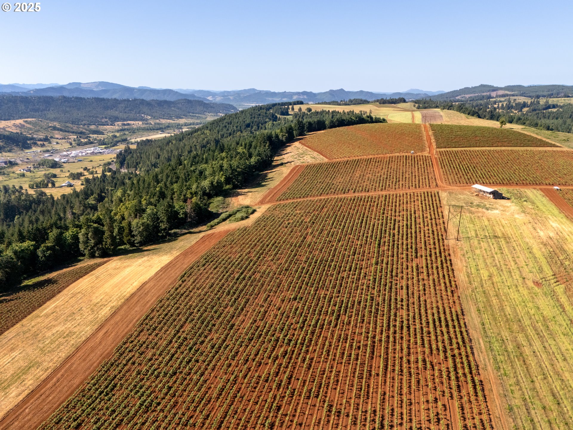 1066 Red Hill Road Oakland, OR 97462 - Photo 48 of 48