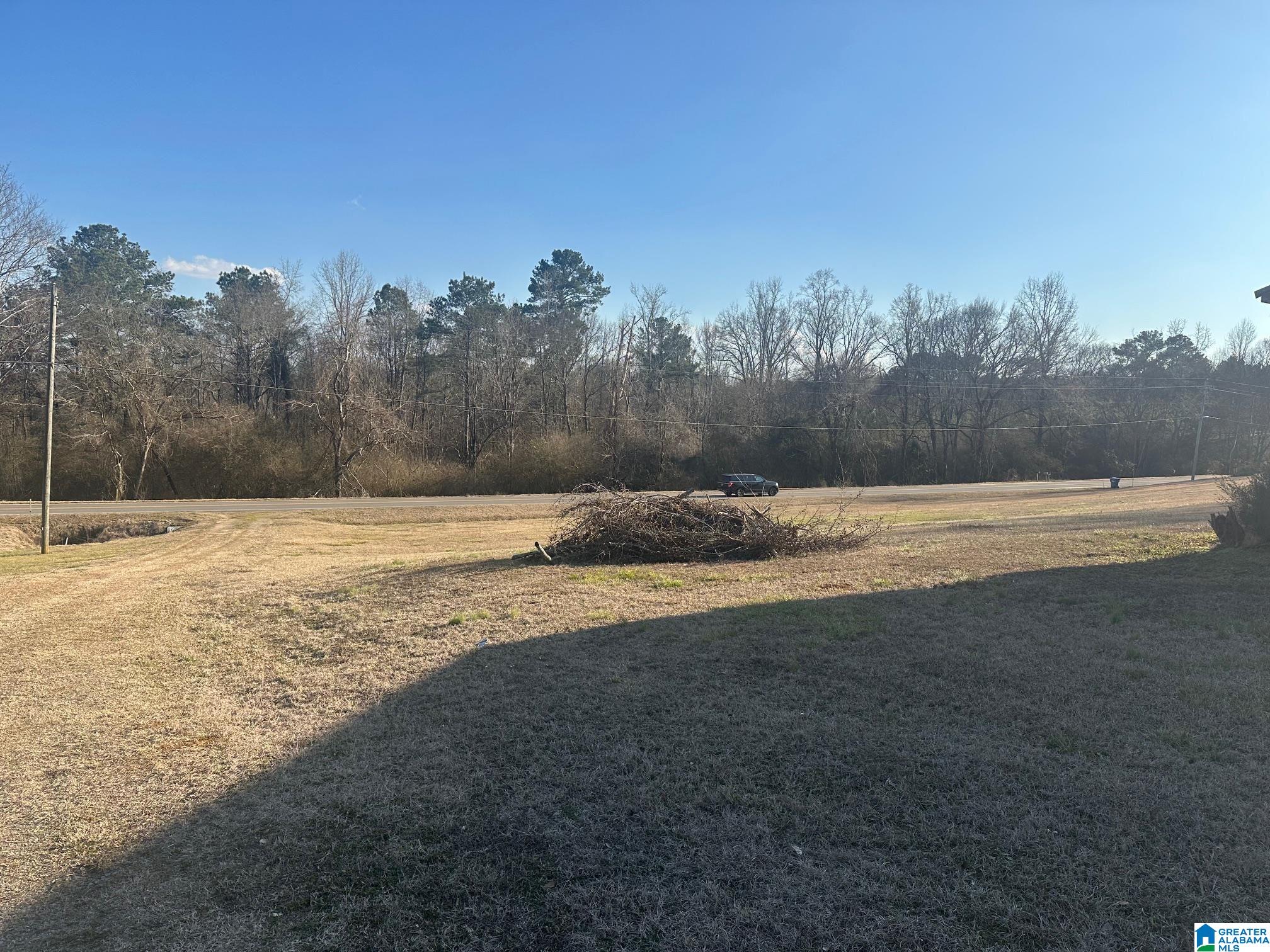 16845 Highway 11 Springville, AL 35146 - Photo 3 of 5