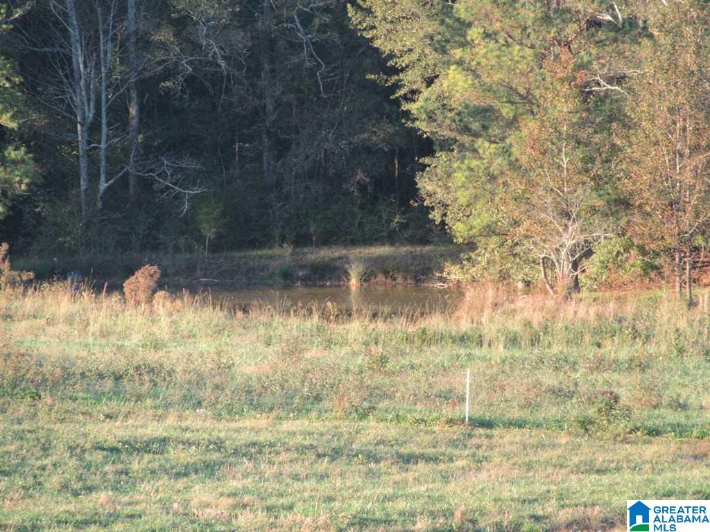 0 Eastaboga Road, Unit 1 Talladega, AL 35160 - Photo 16 of 30