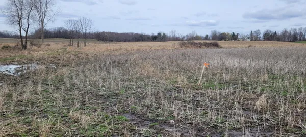 $74,900 | V/l Tasker Road, Lake Odessa, MI 48849