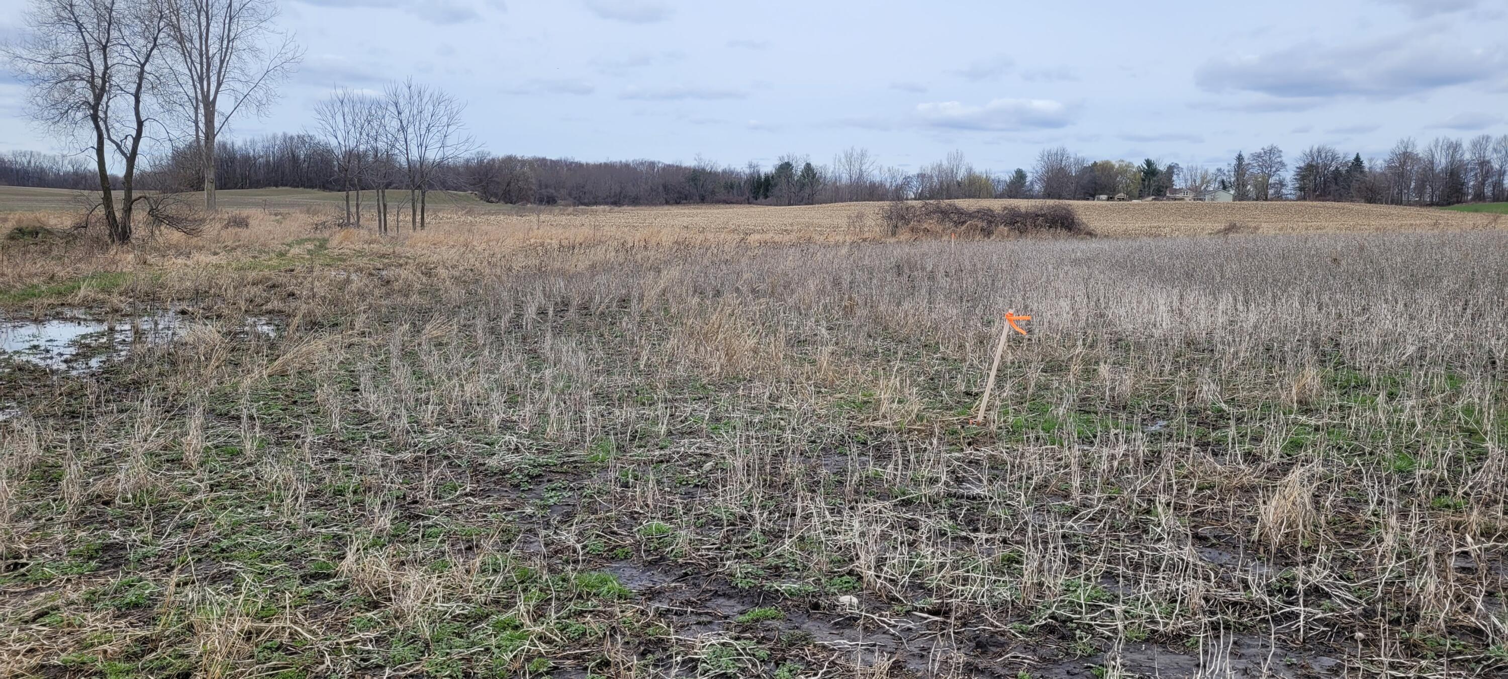 V/l Tasker Road Lake Odessa, MI 48849 - Photo 1 of 1 1.87 Acres Tasker RD