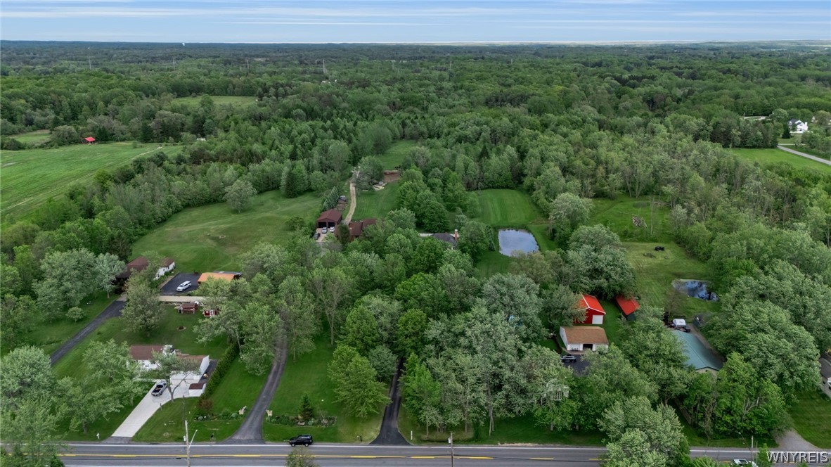 165 Schwartz Road Lancaster, NY 14086 - Photo 49 of 50