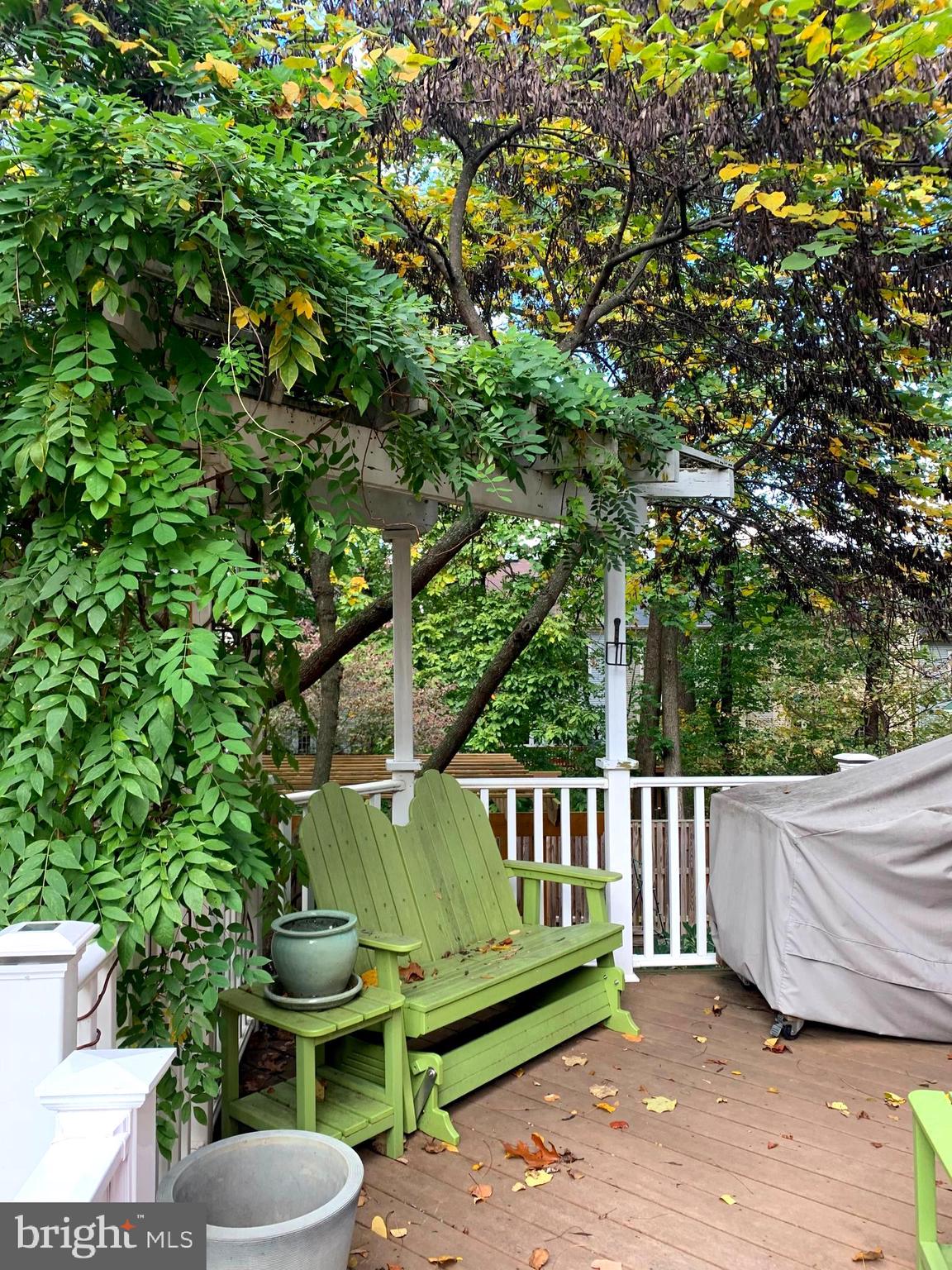 1705 Noyes Lane Silver Spring, MD 20910 - Photo 5 of 43 BACK PORCH