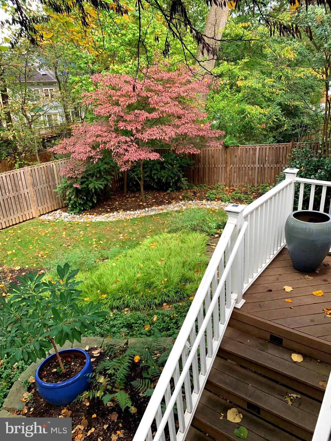1705 Noyes Lane Silver Spring, MD 20910 - Photo 7 of 43 BACK YARD