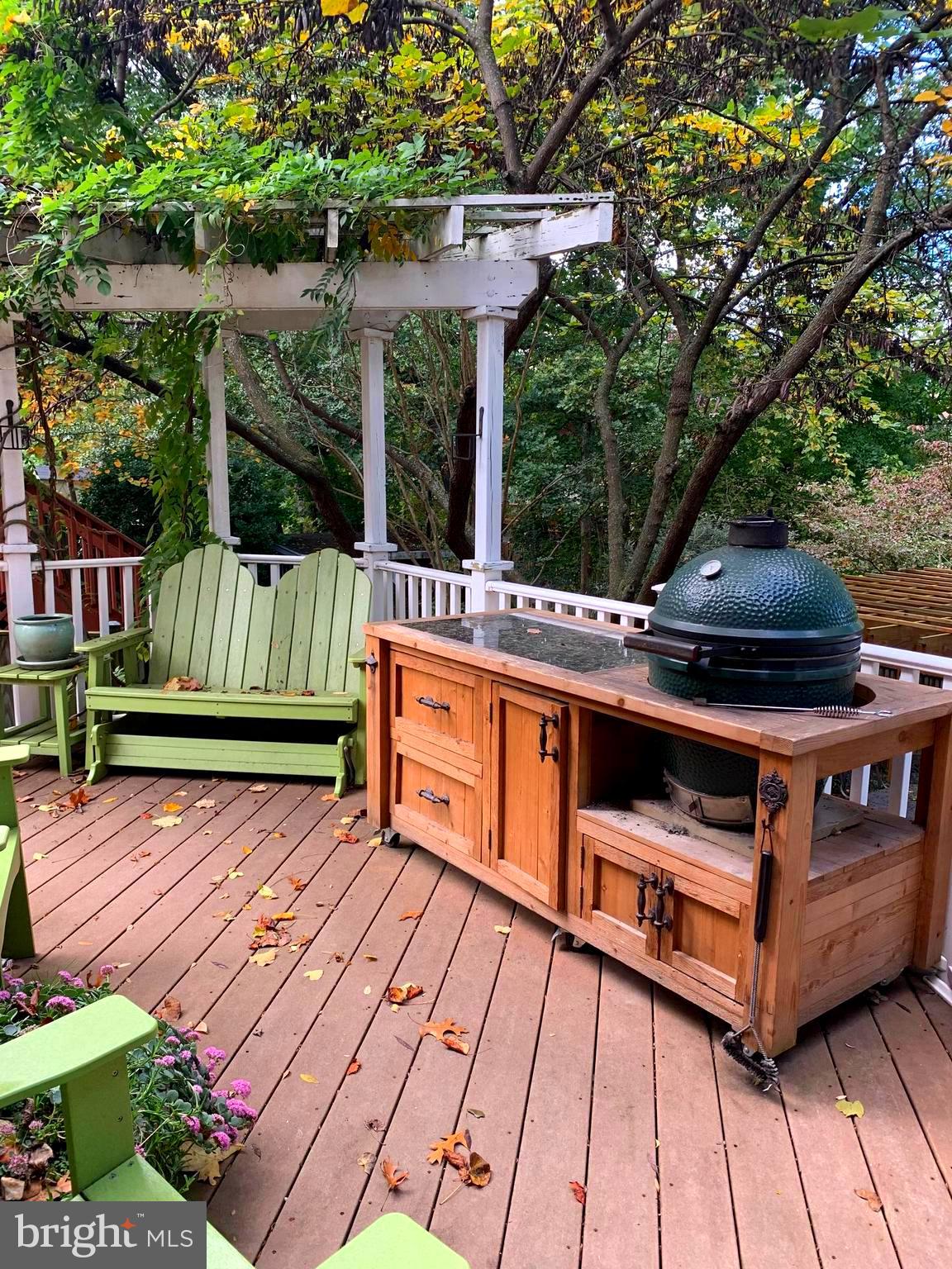 1705 Noyes Lane Silver Spring, MD 20910 - Photo 9 of 43 GRILL