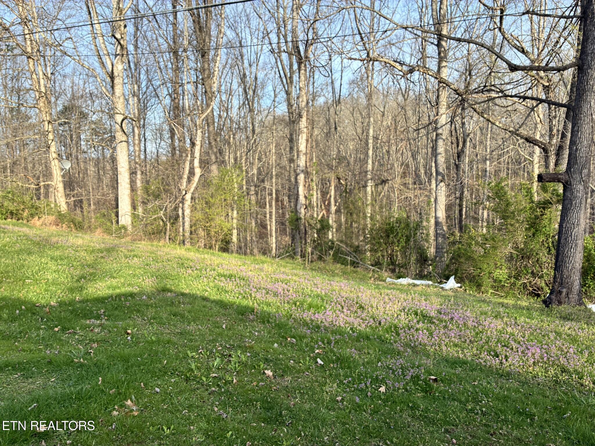 158 Reed Lane Pioneer, TN 37847 - Photo 8 of 46 IMG_6662