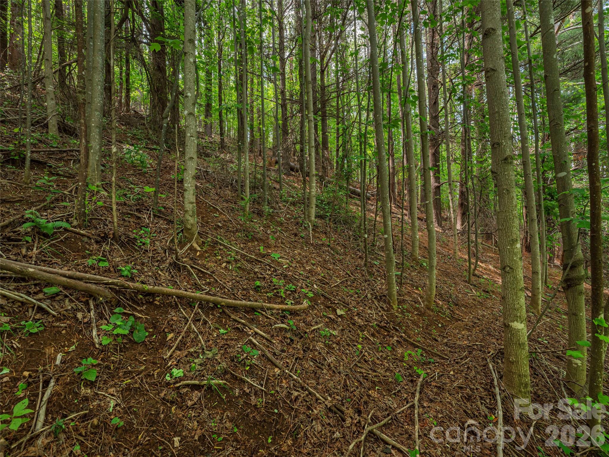 5622 Dutch Cove Road Canton, NC 28716 - Photo 14 of 26