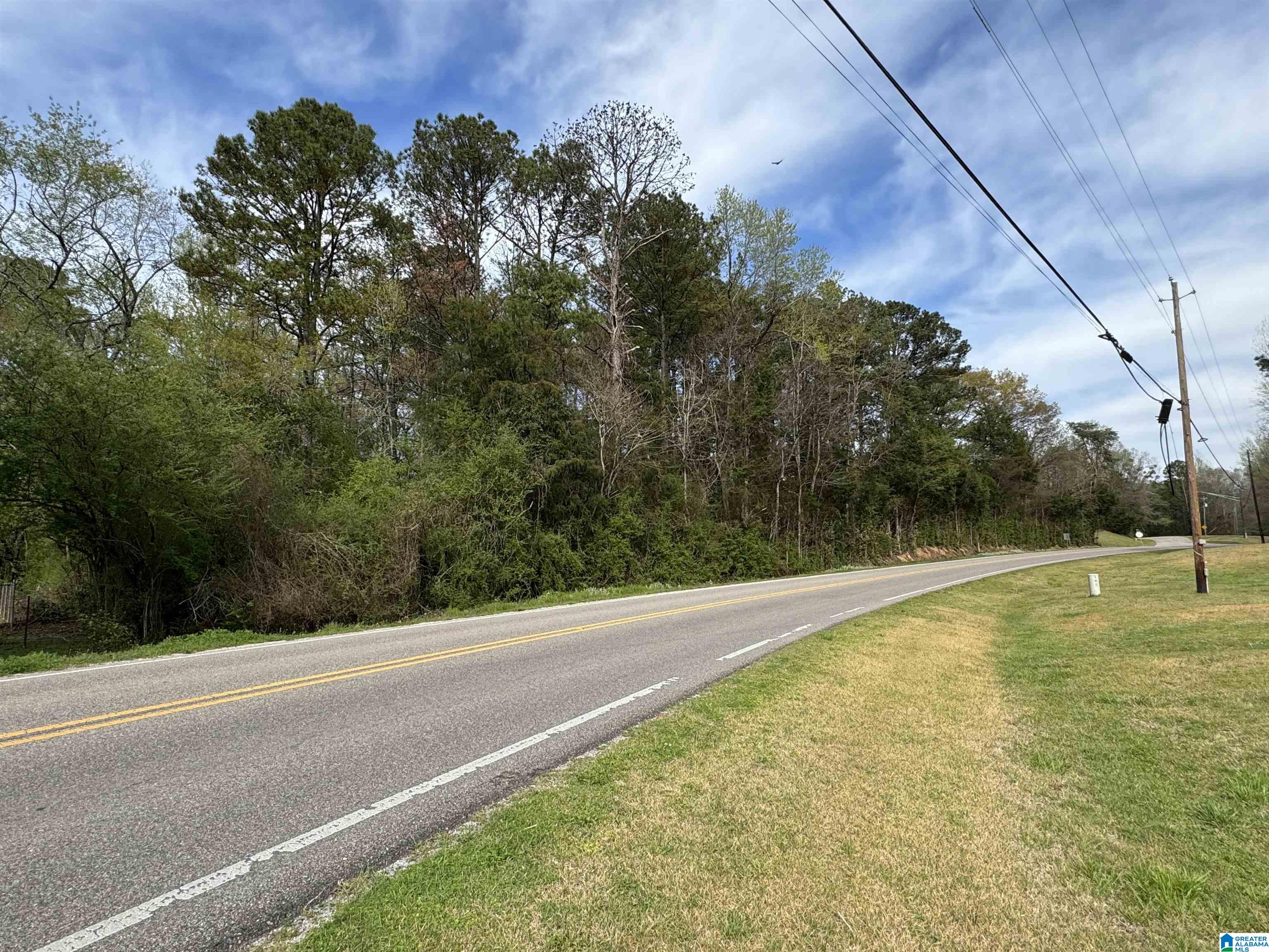0 Ferry Road Columbiana, AL 35051 - Photo 6 of 7