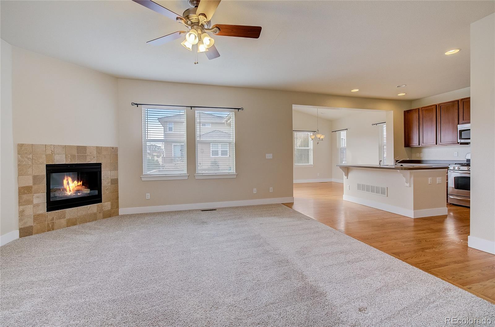 10486 Rutledge Street Parker, CO 80134 - Photo 3 of 28 Gallery Image 3