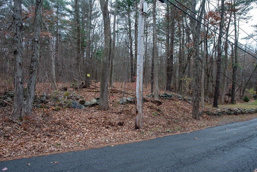 44 Old Mill Road Sutton, MA 01590 - Photo 2 of 7 a view of a forest filled with trees