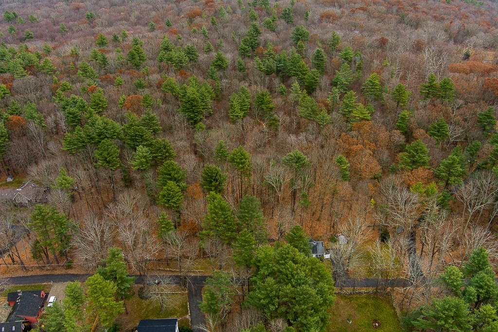 44 Old Mill Road Sutton, MA 01590 - Photo 3 of 7 an aerial view of residential house with outdoor space and trees all around