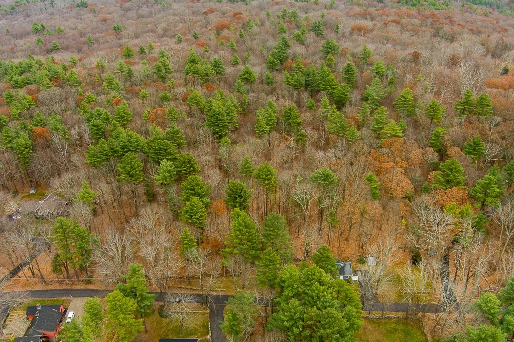 44 Old Mill Road Sutton, MA 01590 - Photo 4 of 7 a view of a bunch of trees